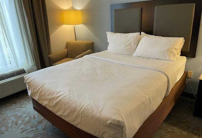 غرفه قياسيه سريرين مزدوجين, Comfort Inn & Suites Plainvillefoxboro