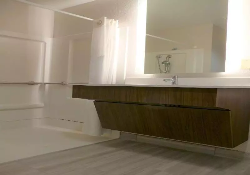 キングサイズベッドのスタンダードルーム, Holiday Inn Express Lebanon By Ihg