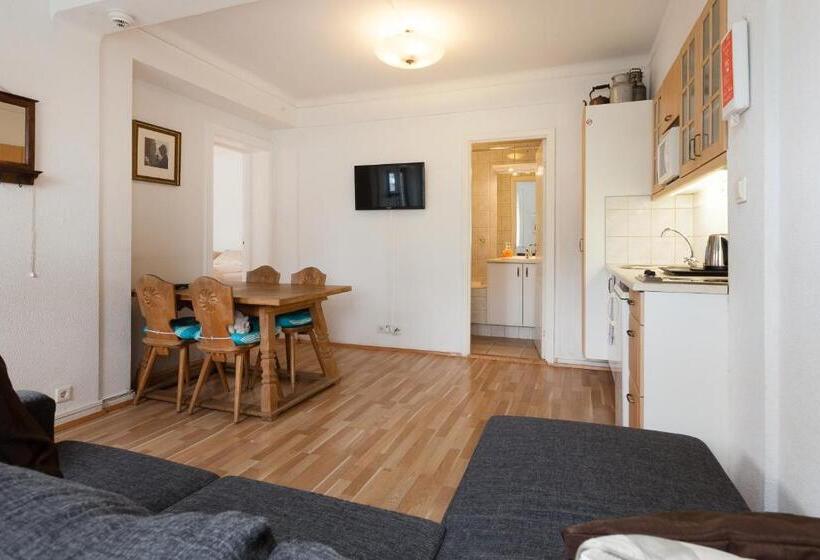 آپارتمان 1 خوابه, Guesthouse Galtafell