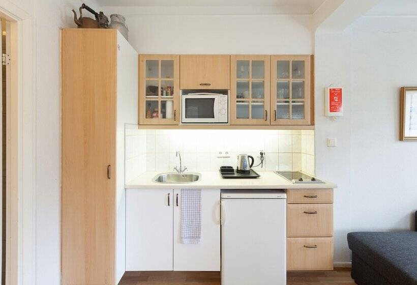 آپارتمان 1 خوابه, Guesthouse Galtafell
