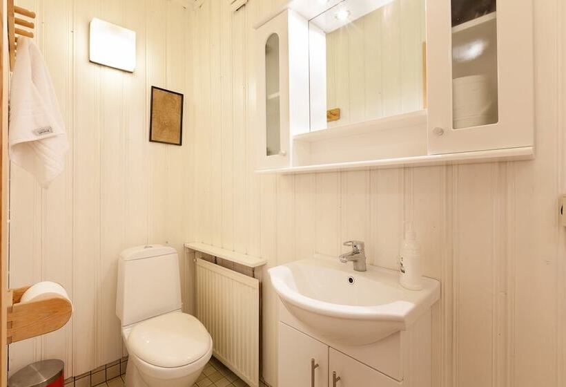 اتاق استاندارد با سرویس بهداشتی مشترک, Guesthouse Galtafell