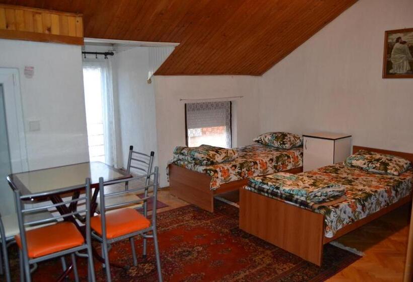 استودیو استاندارد با تراس, Hostel Valentin