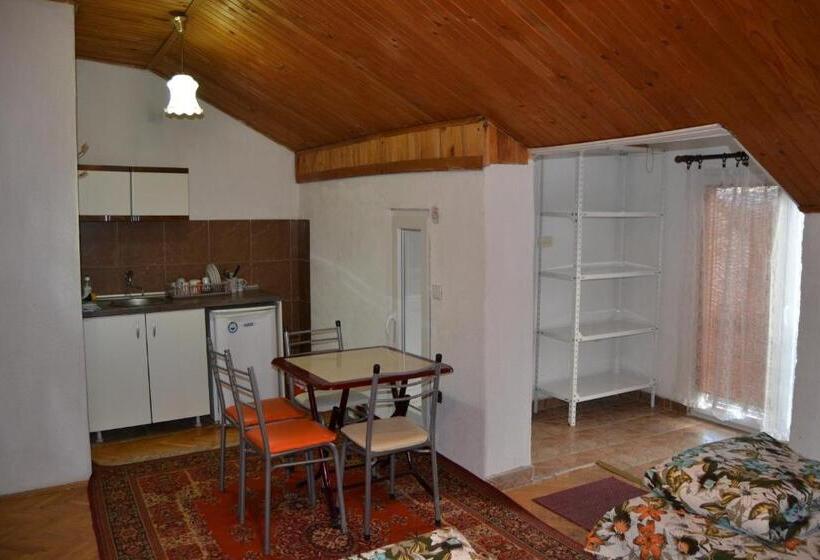 استودیو استاندارد با تراس, Hostel Valentin