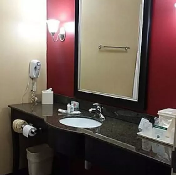 身障者適用スイートルーム, Comfort Suites