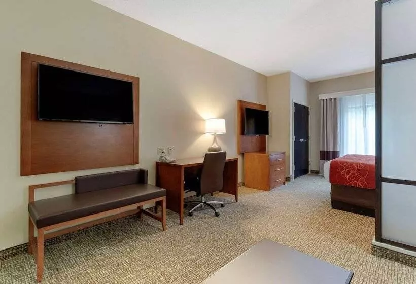 身障者適用スイートルーム, Comfort Suites