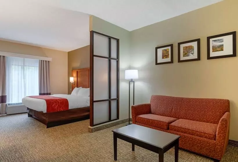 身障者適用スイートルーム, Comfort Suites