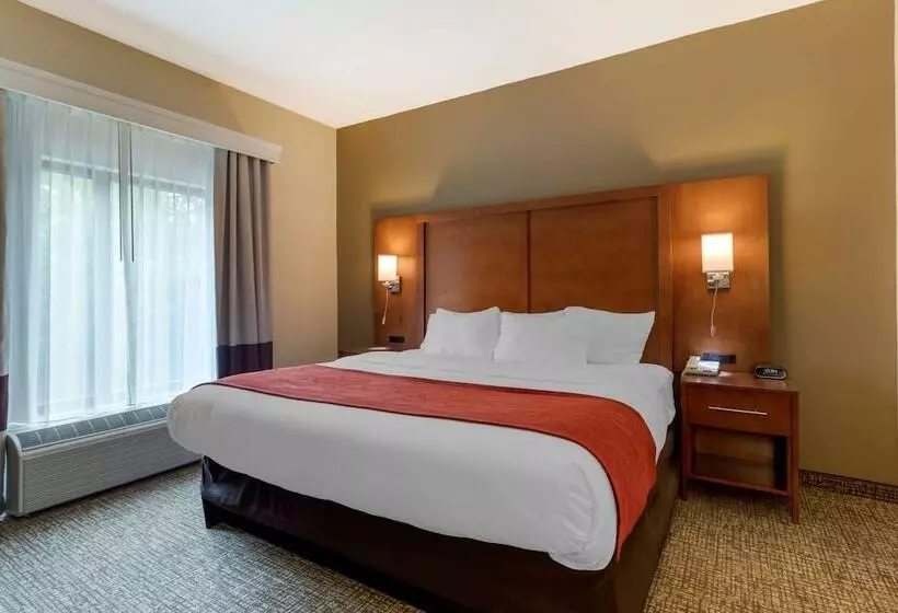 身障者適用スイートルーム, Comfort Suites
