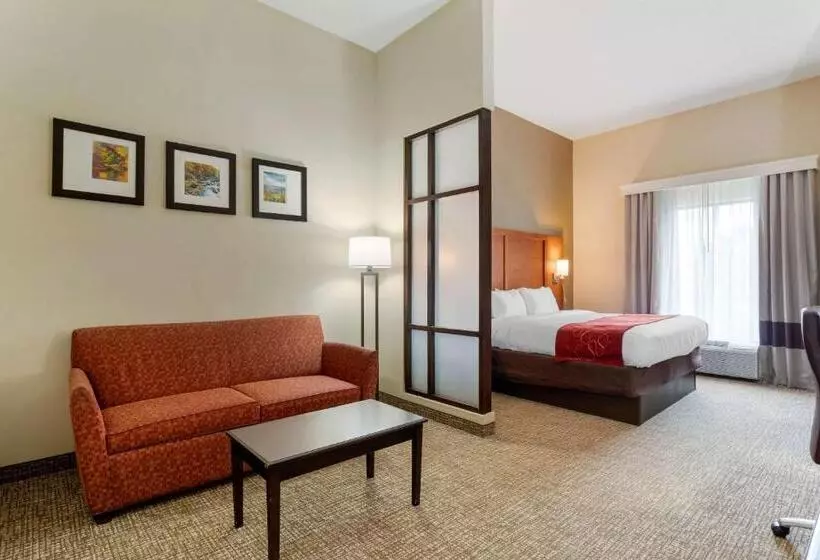 キングサイズベッドのスタンダードルーム, Comfort Suites
