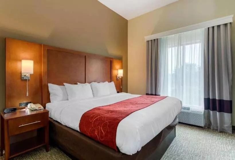 キングサイズベッドのスタンダードルーム, Comfort Suites
