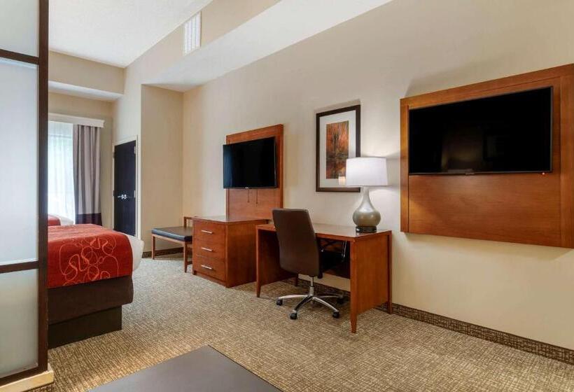 套房, Comfort Suites