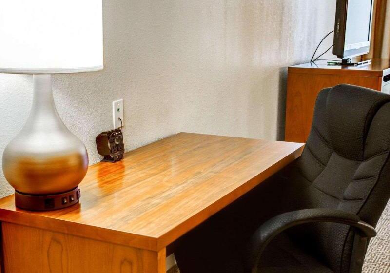 スイート, Comfort Suites Tyler South