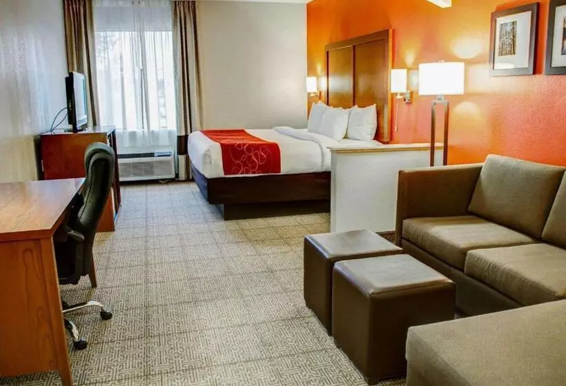 سوئیت با تخت بزرگ, Comfort Suites Tyler South