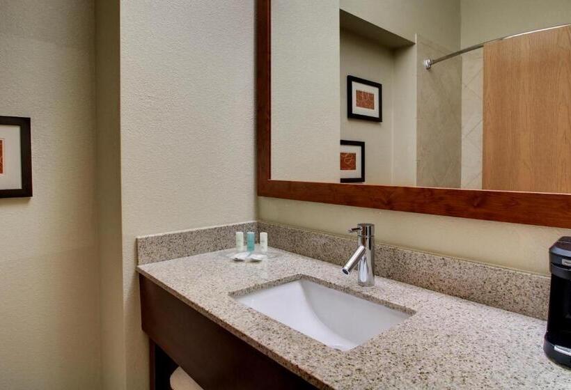 Люкс, Comfort Suites Tyler South