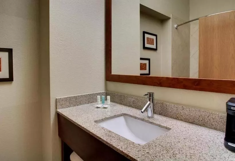 سوییت, Comfort Suites Tyler South