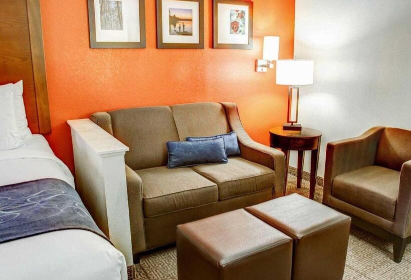 スイート, Comfort Suites Tyler South