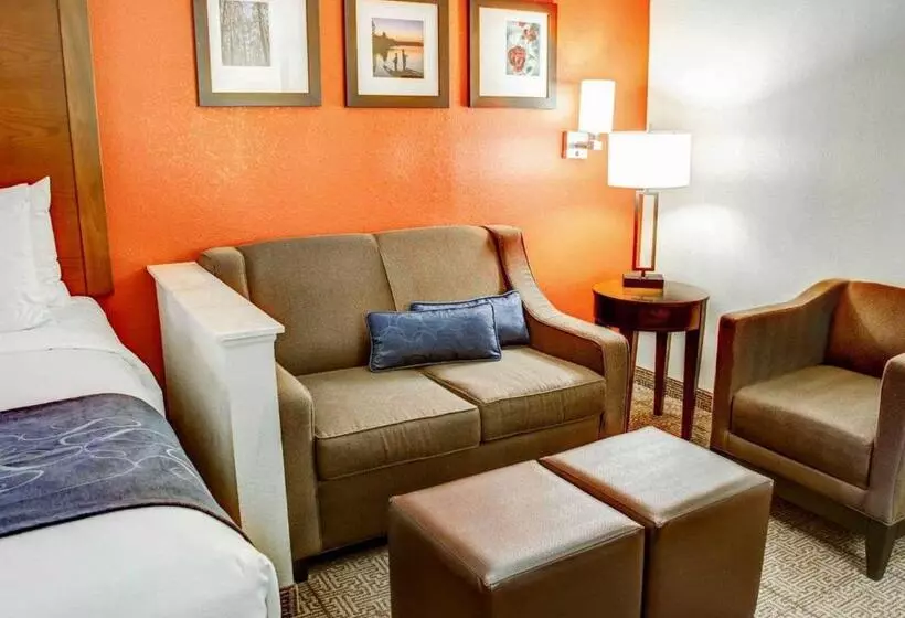 سوییت, Comfort Suites Tyler South