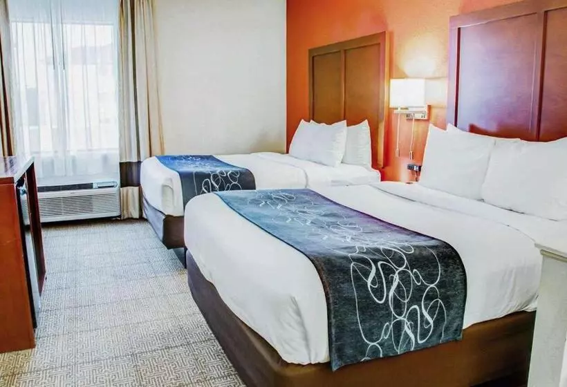 سوییت, Comfort Suites Tyler South