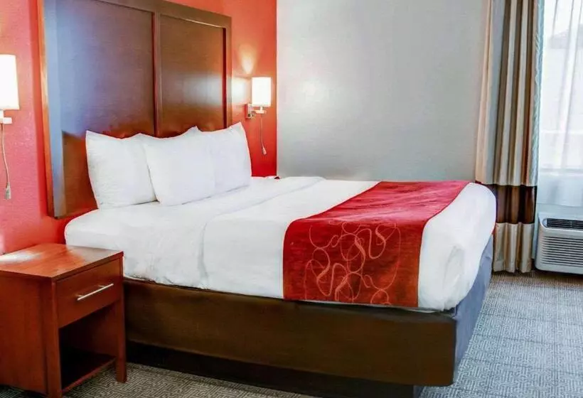 سوئیت برای معلولان, Comfort Suites Tyler South
