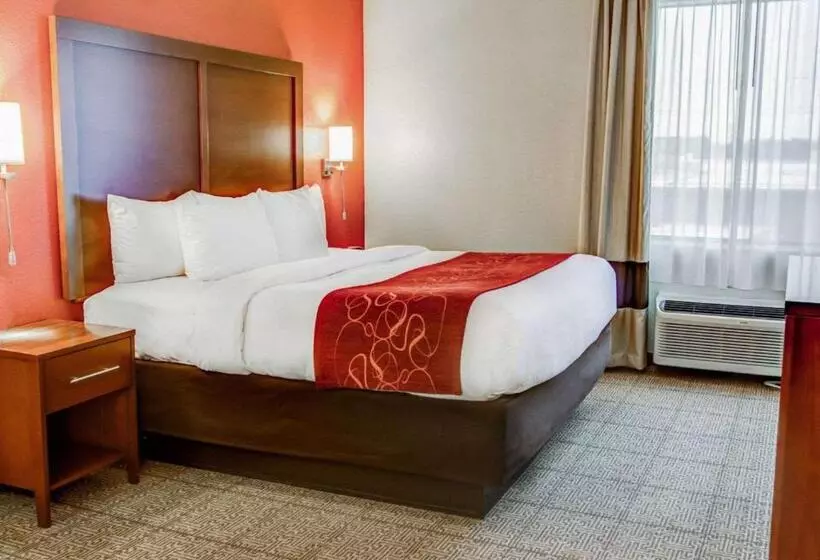 سوئیت برای معلولان, Comfort Suites Tyler South