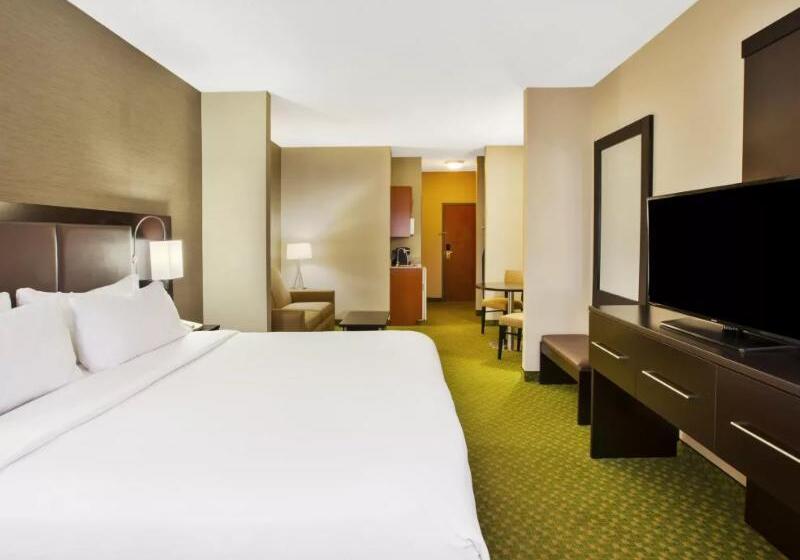 Стандартный Номер Кровать Кинг, Holiday Inn Express Hotel & Suites Bryan Montpelier, An Ihg