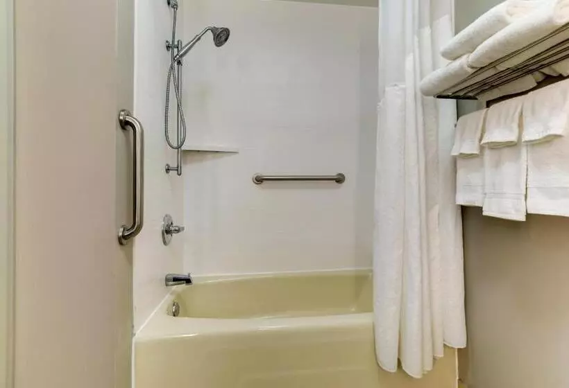 身障者適用スタンダードルーム, Holiday Inn Express Hotel & Suites Bryan Montpelier, An Ihg