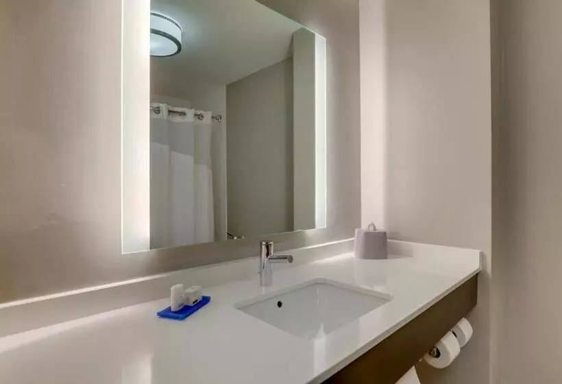 Standard-invahuone, Holiday Inn Express Hotel & Suites Bryan Montpelier, An Ihg