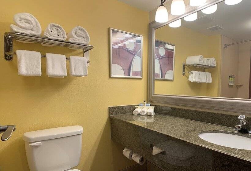 스탠다드 룸, Holiday Inn Express Hotel & Suites Charleston Ashley Phosphate, An Ihg