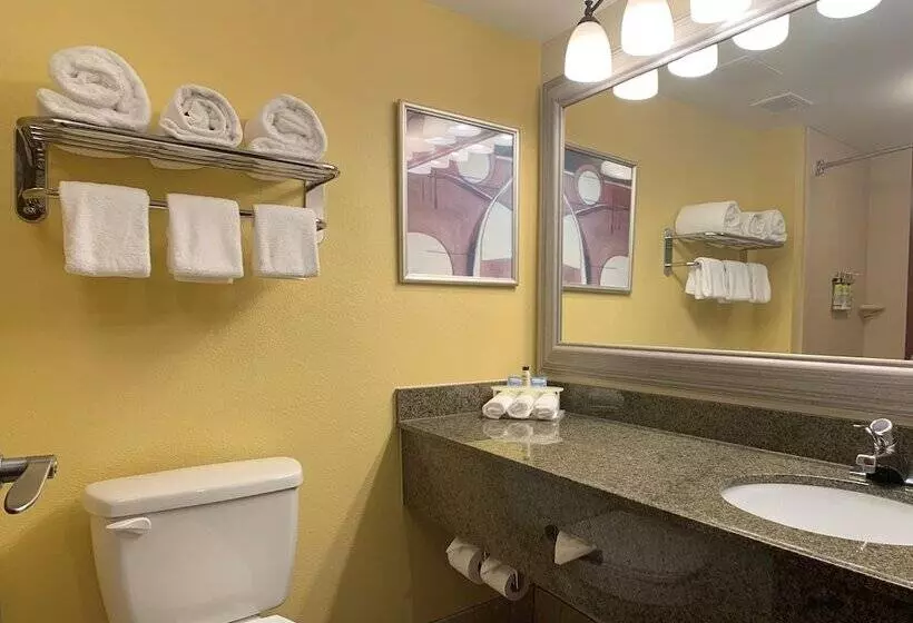 スタンダードルーム, Holiday Inn Express Hotel & Suites Charleston Ashley Phosphate, An Ihg