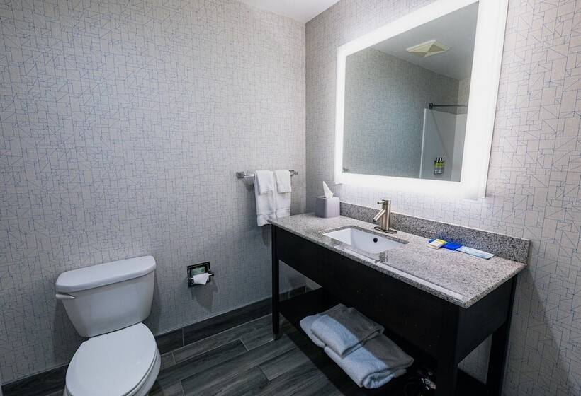 스탠다드 룸, Holiday Inn Express Hotel & Suites Hamburg, An Ihg