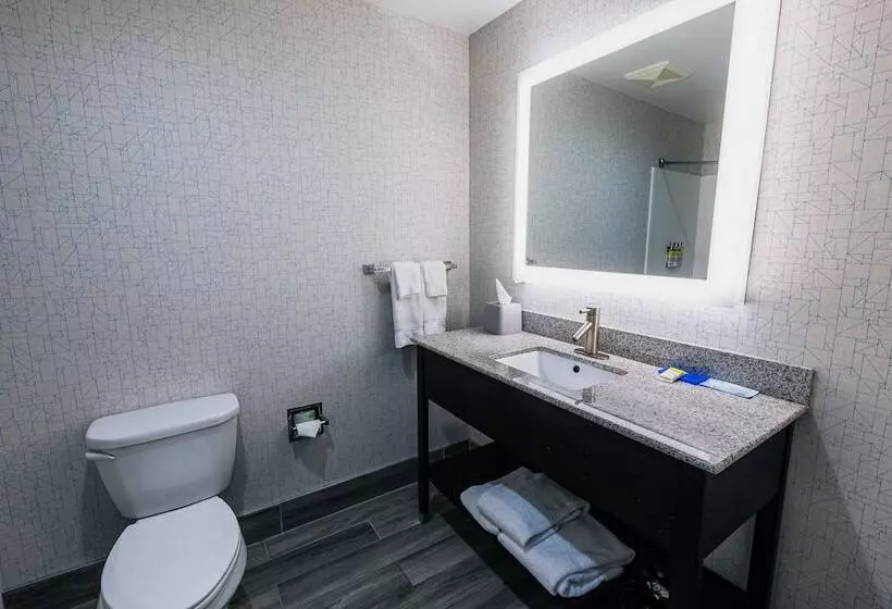 スタンダードルーム, Holiday Inn Express Hotel & Suites Hamburg, An Ihg