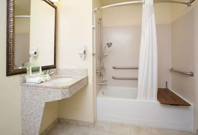 スタンダードルーム, Holiday Inn Express Hotel & Suites Las Vegas, An Ihg