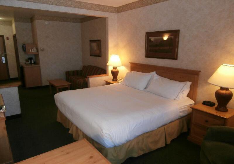 غرفة إدارية سرير كينج, Holiday Inn Express Hotel & Suites Raton, An Ihg