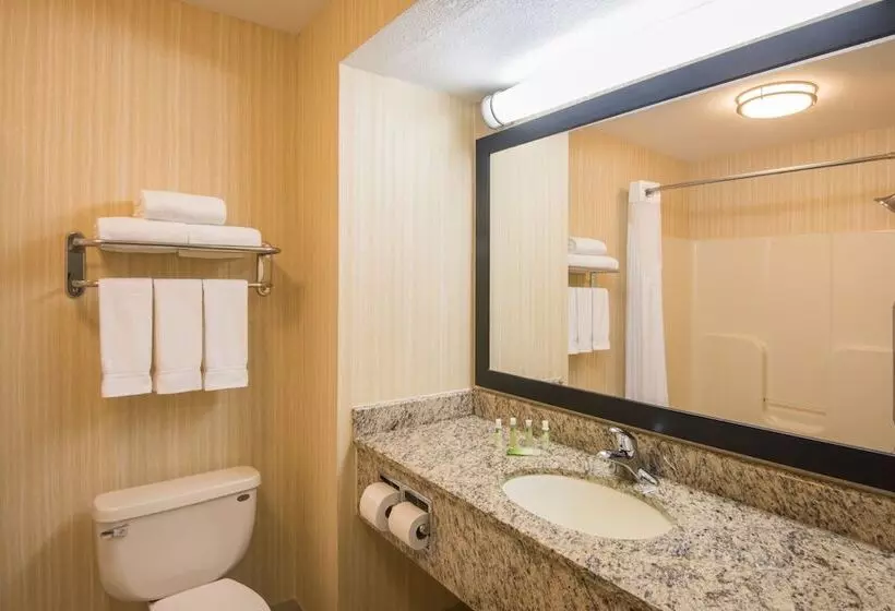 スイート, Holiday Inn Express Hotel & Suites Wauseon, An Ihg