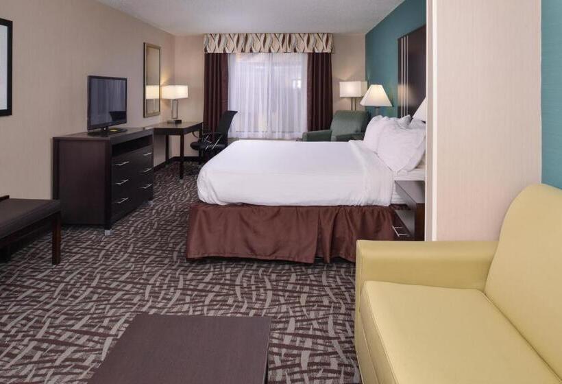 스위트 킹사이즈 침대, Holiday Inn Express Hotel & Suites Youngstown   North Lima/boardman, An Ihg