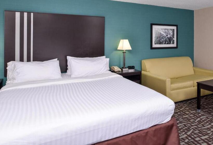 Люкс Кровать Кинг, Holiday Inn Express Hotel & Suites Youngstown   North Lima/boardman, An Ihg