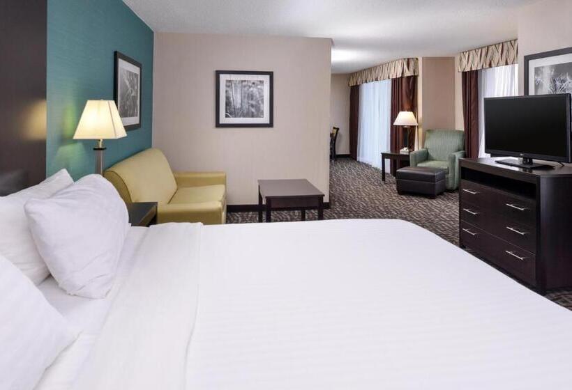 Люкс Кровать Кинг, Holiday Inn Express Hotel & Suites Youngstown   North Lima/boardman, An Ihg