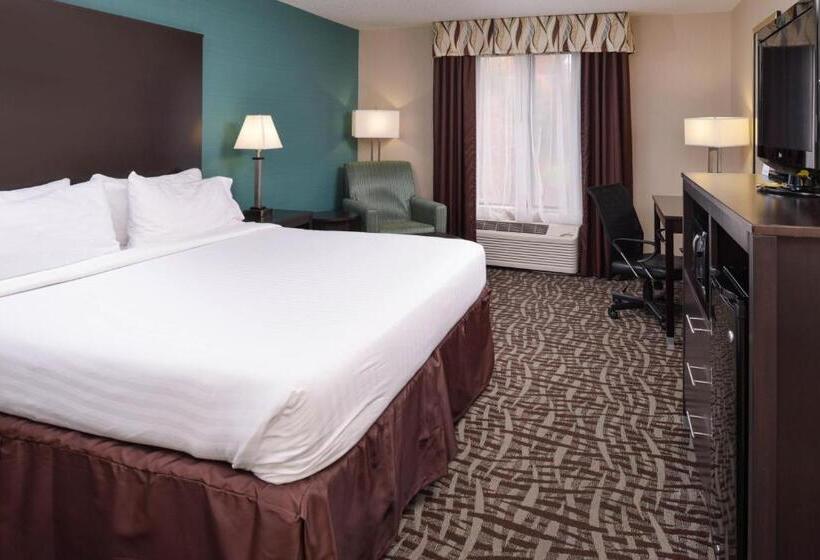 Стандартный Номер Кровать Кинг, Holiday Inn Express Hotel & Suites Youngstown   North Lima/boardman, An Ihg