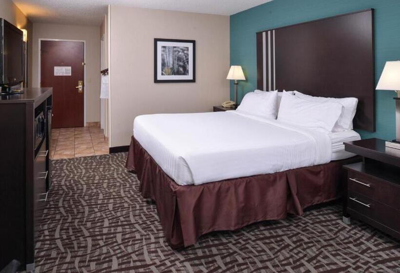 Стандартный Номер Кровать Кинг, Holiday Inn Express Hotel & Suites Youngstown   North Lima/boardman, An Ihg