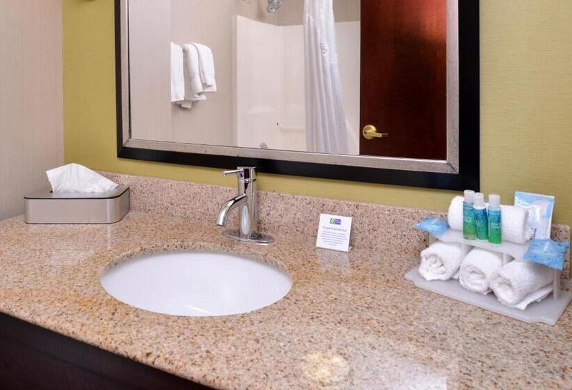 장애인을 위한 스탠다드 룸, Holiday Inn Express Hotel & Suites Youngstown   North Lima/boardman, An Ihg