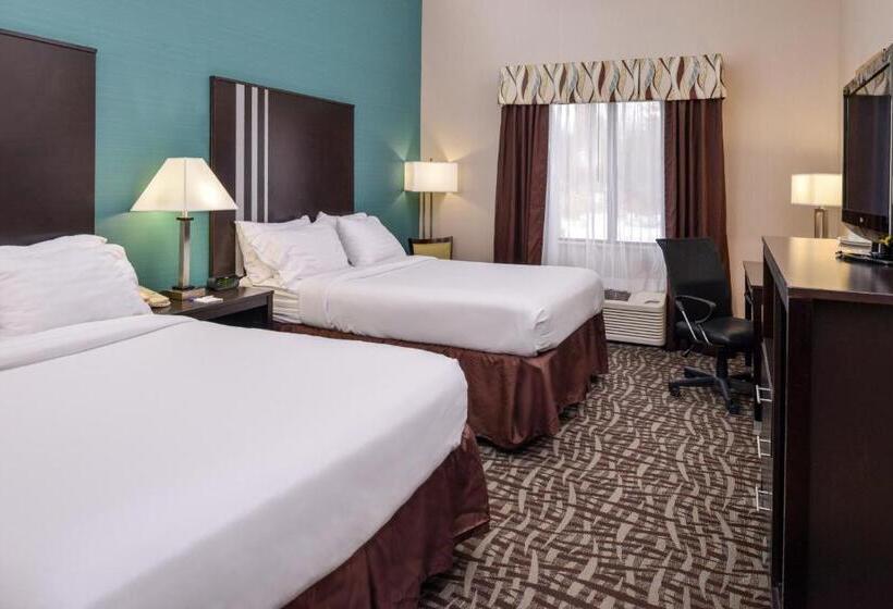 장애인을 위한 퀸사이즈 스탠다드 룸, Holiday Inn Express Hotel & Suites Youngstown   North Lima/boardman, An Ihg