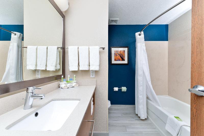 Стандартный Номер Кровать Кинг, Holiday Inn Express Albuquerque N   Bernalillo, An Ihg