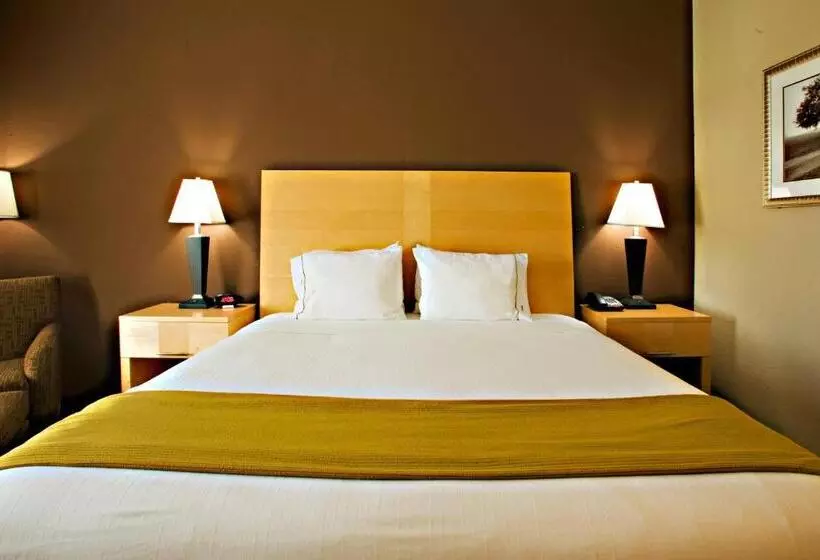 キングサイズベッドのスイートルーム, Holiday Inn Express Hotel And Suites Borger, An Ihg