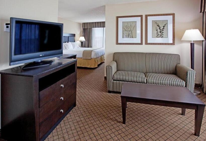 스위트 킹사이즈 침대, Holiday Inn Express And Suites Newberry, An Ihg