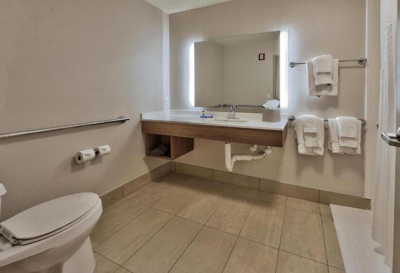 Люкс Адаптированный для Инвалидов, Holiday Inn Express Socorro, An Ihg