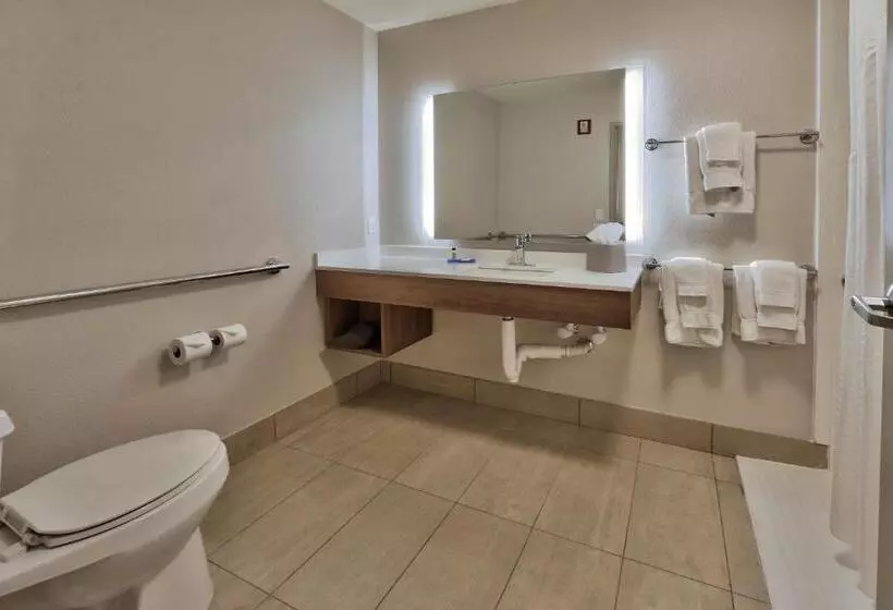 身障者適用スイートルーム, Holiday Inn Express Socorro, An Ihg