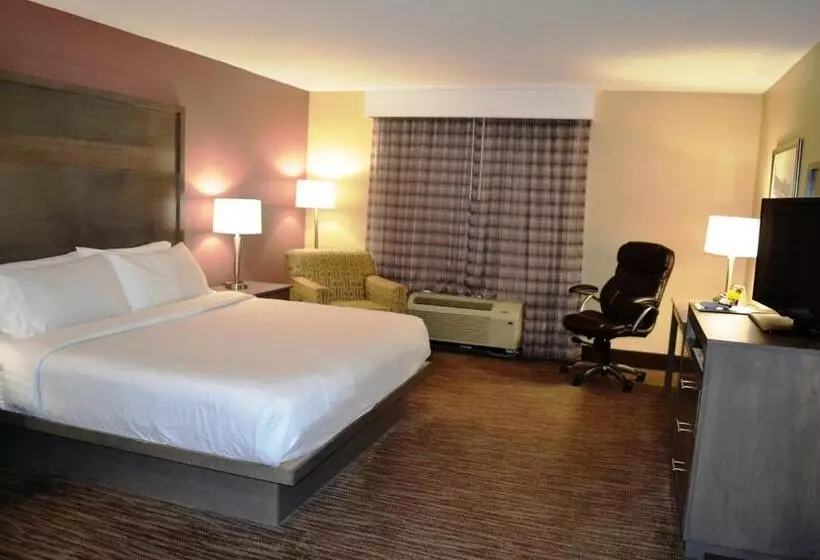 キングサイズベッドのエクゼクティブルーム, Holiday Inn Santee By Ihg