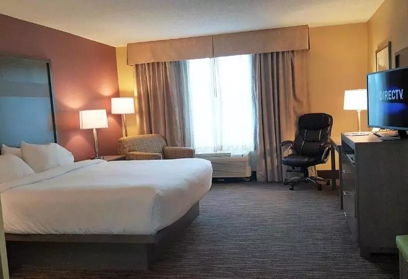 キングサイズベッドのエクゼクティブルーム, Holiday Inn Santee By Ihg