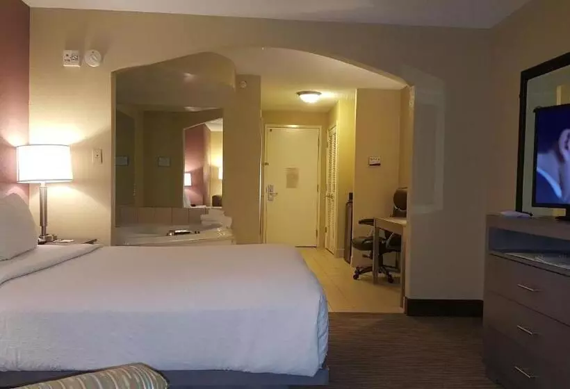 スイート, Holiday Inn Santee By Ihg