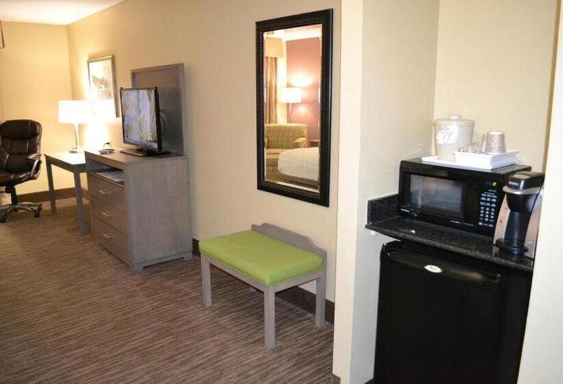 חדר סטנדרט מותאם לאדם עם מוגבלויות, Holiday Inn Santee By Ihg