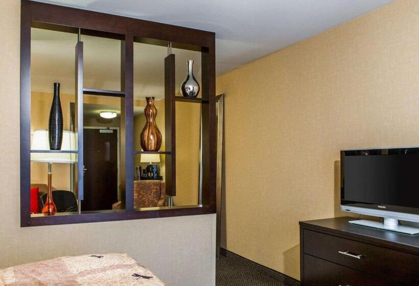 带大床的套房, Cambria Hotel Appleton